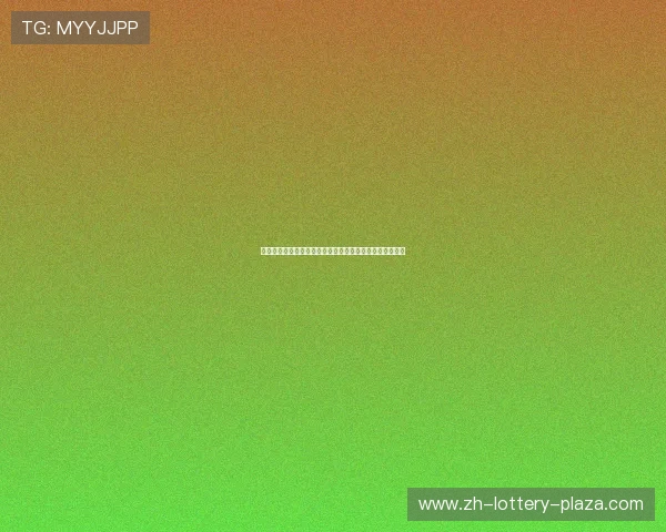 安德烈戈麦斯：从葡萄牙足球新星到欧洲赛场的中场指挥官